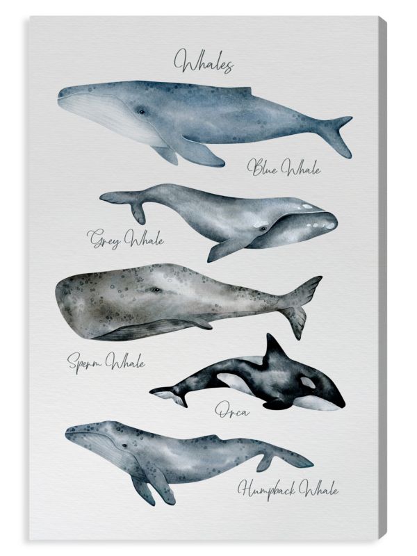 Oliver Gal Whales Print Canvas Wall Art Canvas Print